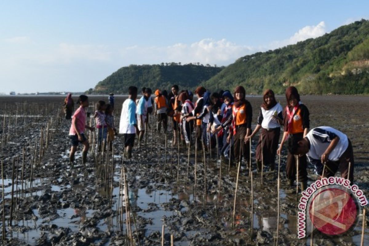 Nelayan Lombok Barat Lindungi Mangrove dengan "Awig-Awig" 