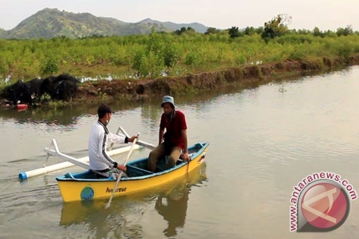 BPSPL Berdayakan Nelayan Lombok Barat Kembangkan Ekowisata Mangrove 