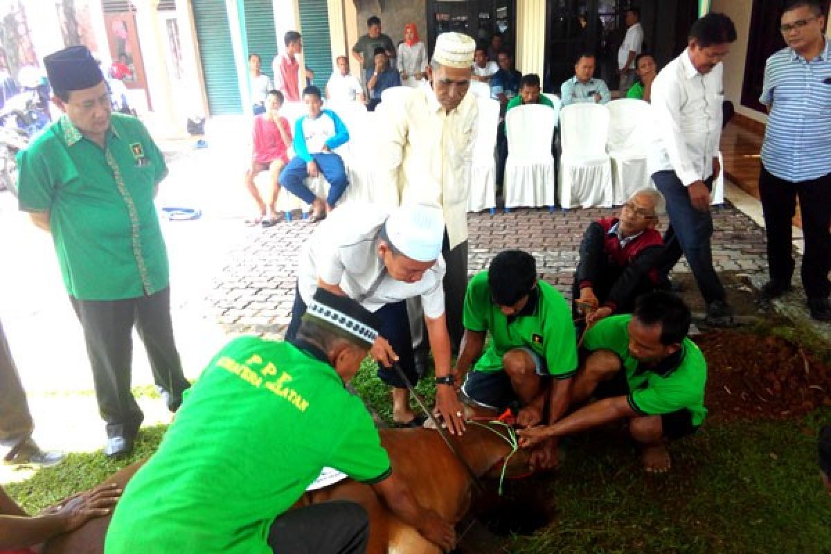 DPW PPP Sumsel potong hewan kurban