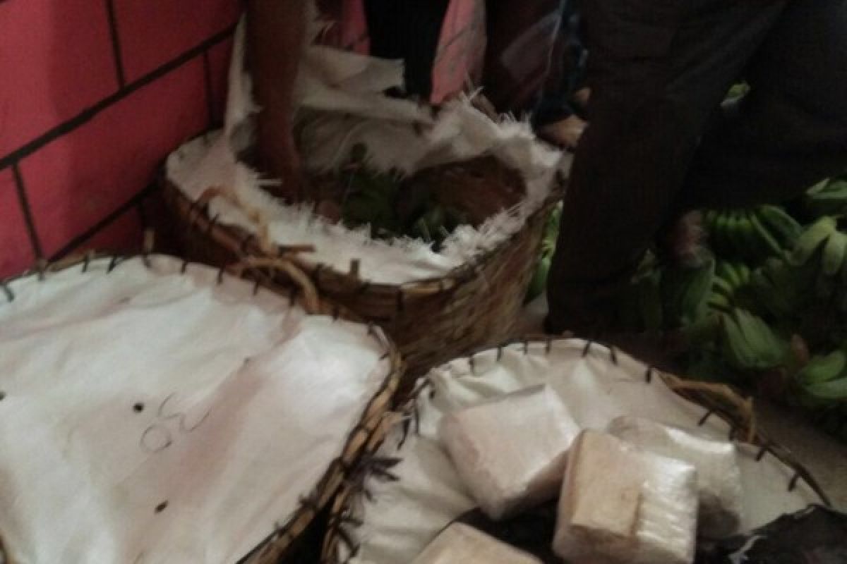 10 kg sabu-sabu dalam keranjang pisang kepok disita