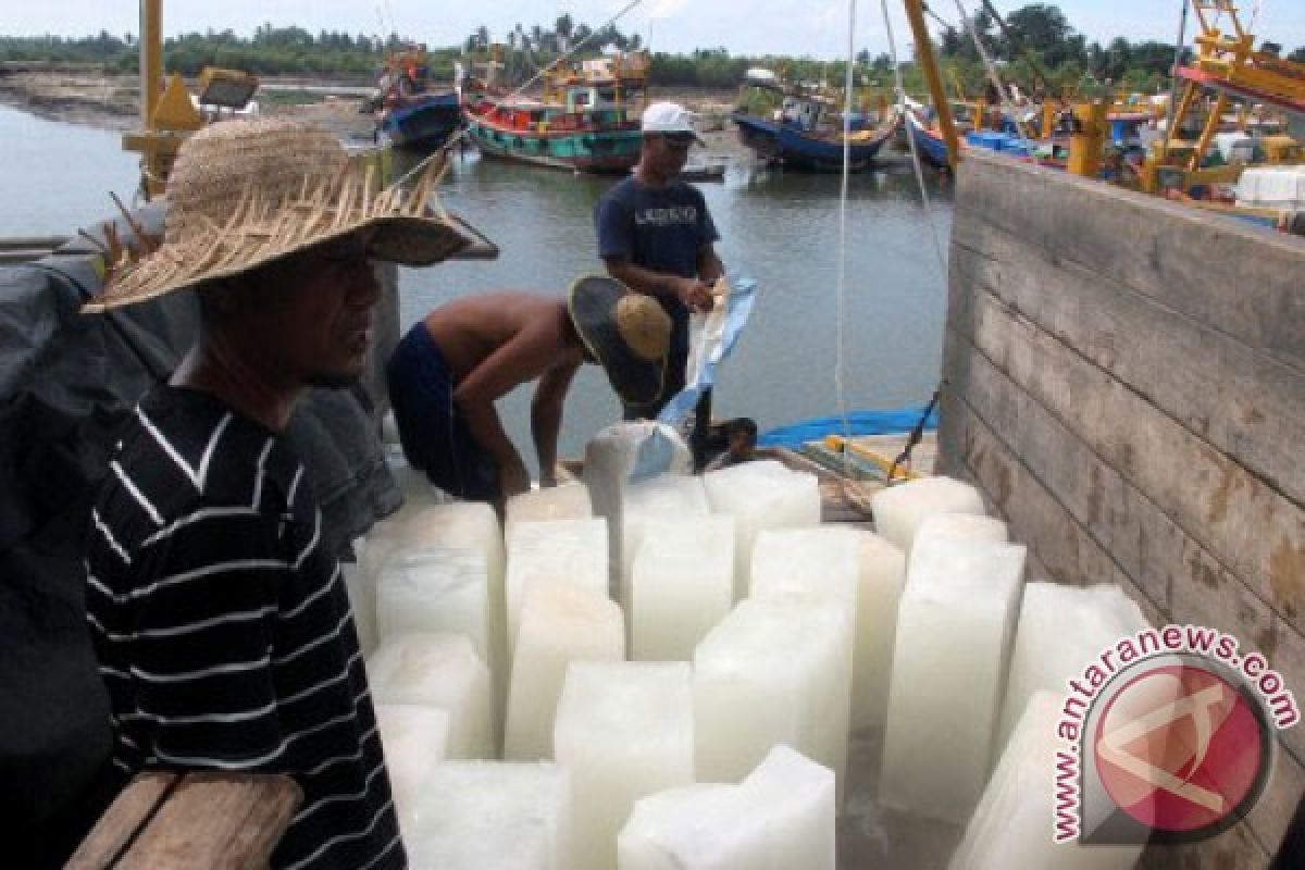Nelayan Lhokseumawe butuh 622 batang es sehari