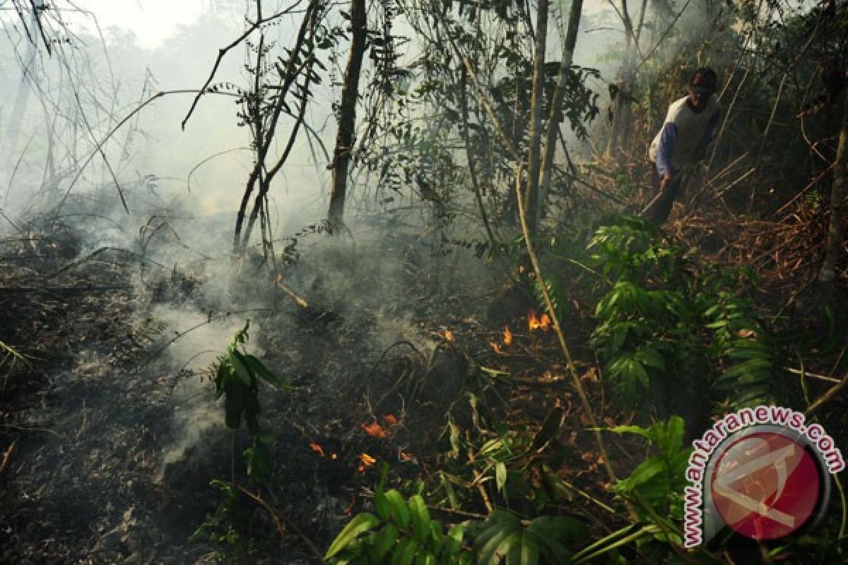 Four people named suspects in C Kalimantan`s land  fires