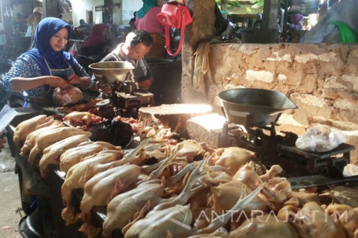 Harga Daging Ayam Kampung di Sumenep Turun