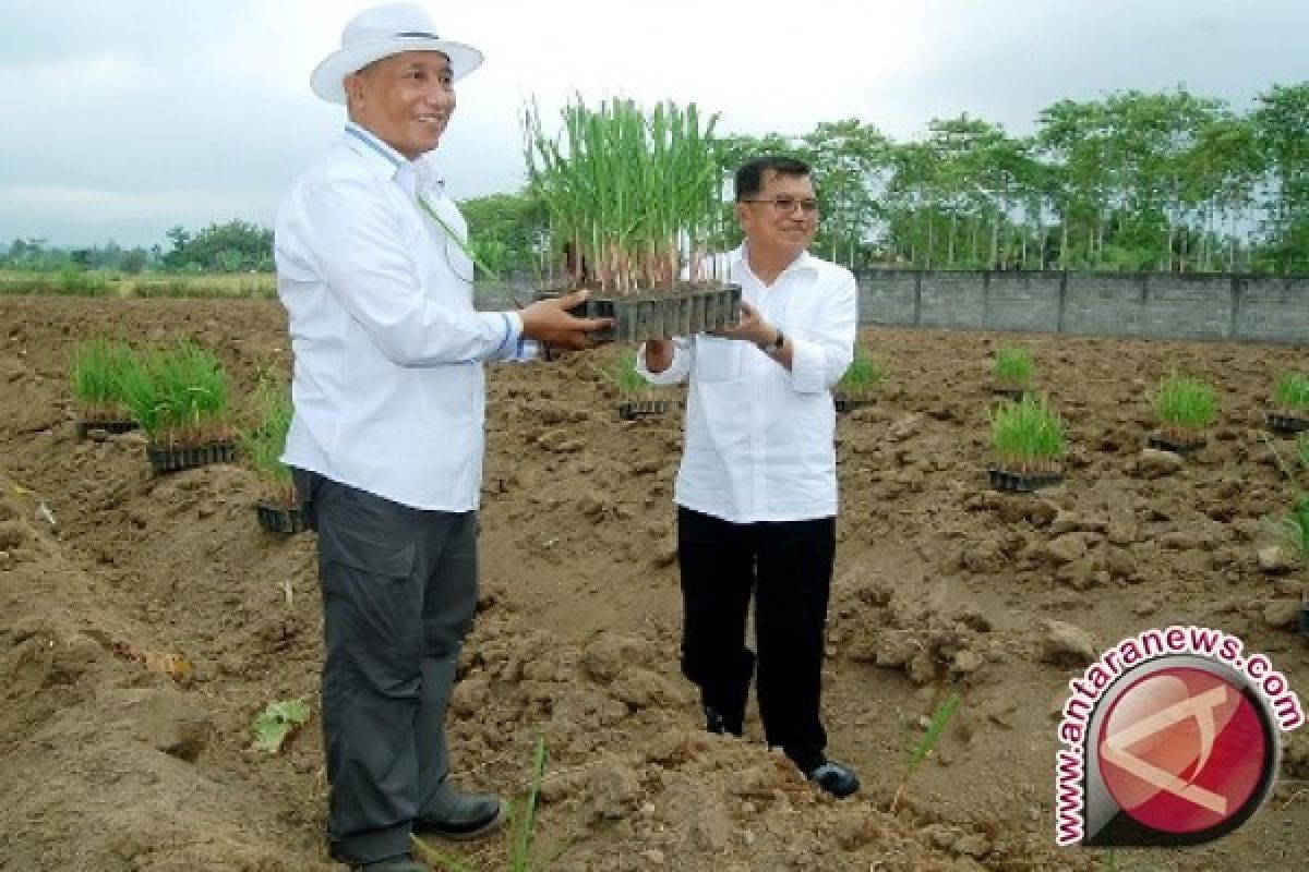 HKTI Apresiasi Sekolah Internasional "Pelita Hati" Jember