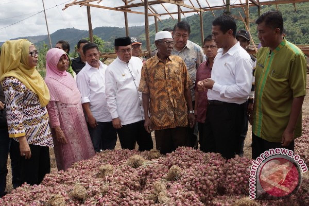 Kembangkan Bawang, Kementan Gelontorkan Ratusan Miliar Rupiah untuk NTB