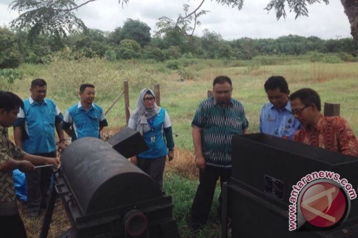 Peternak Dilatih Mengolah Pelepah Sawit Jadi Pakan Sapi