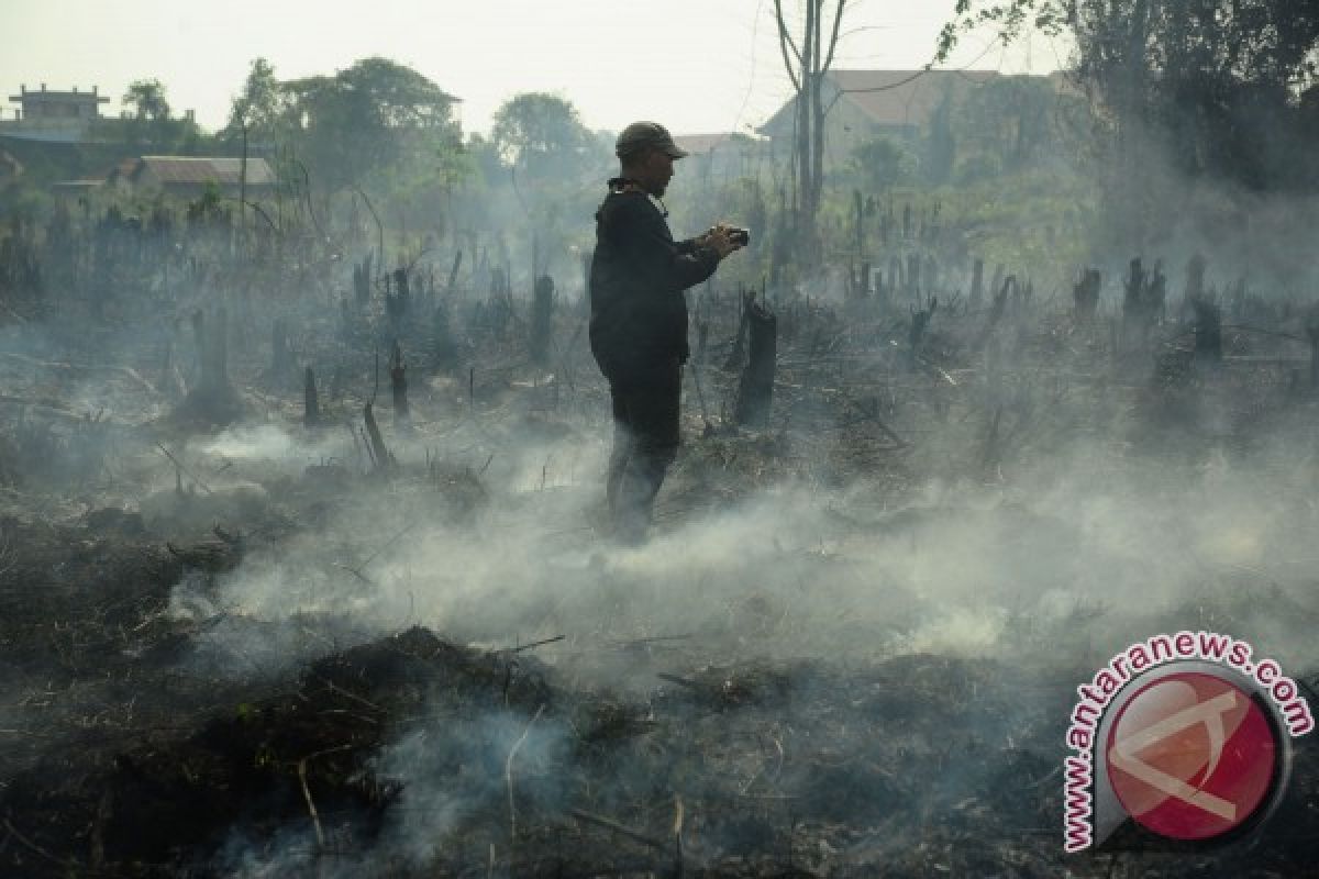 Fire ravages tens of hectares of peatland in West Kalimantan