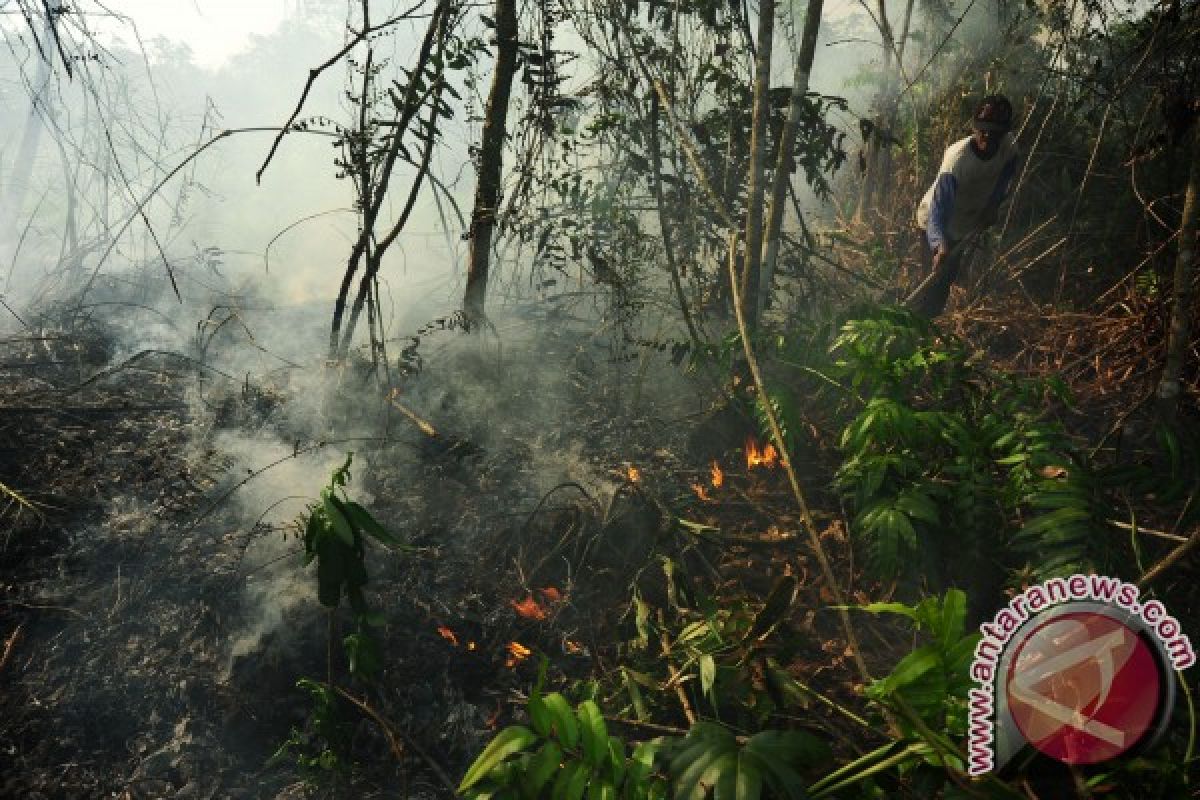 Dandim Tegaskan Berladang Bukan Alasan Melakukan Karhutla 