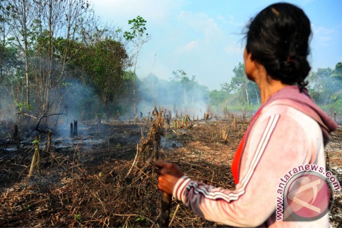 Puluhan hektare lahan gambut Mempawah terbakar