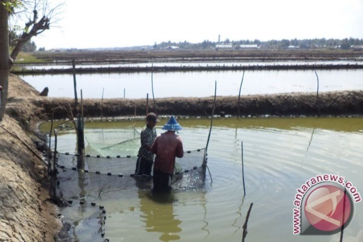 Perbankan Diminta Layani Kredit Petani Tambak Seruyan