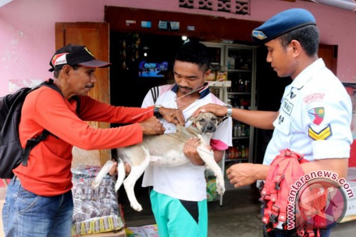 Kasus rabies di Ambon capai 101 orang