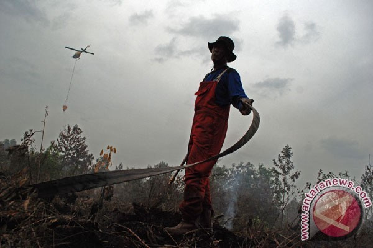 Dua Pembakar Lahan Ditangkap, Pelaku Pembakar Lahan di Riau sudah 89 Tersangka