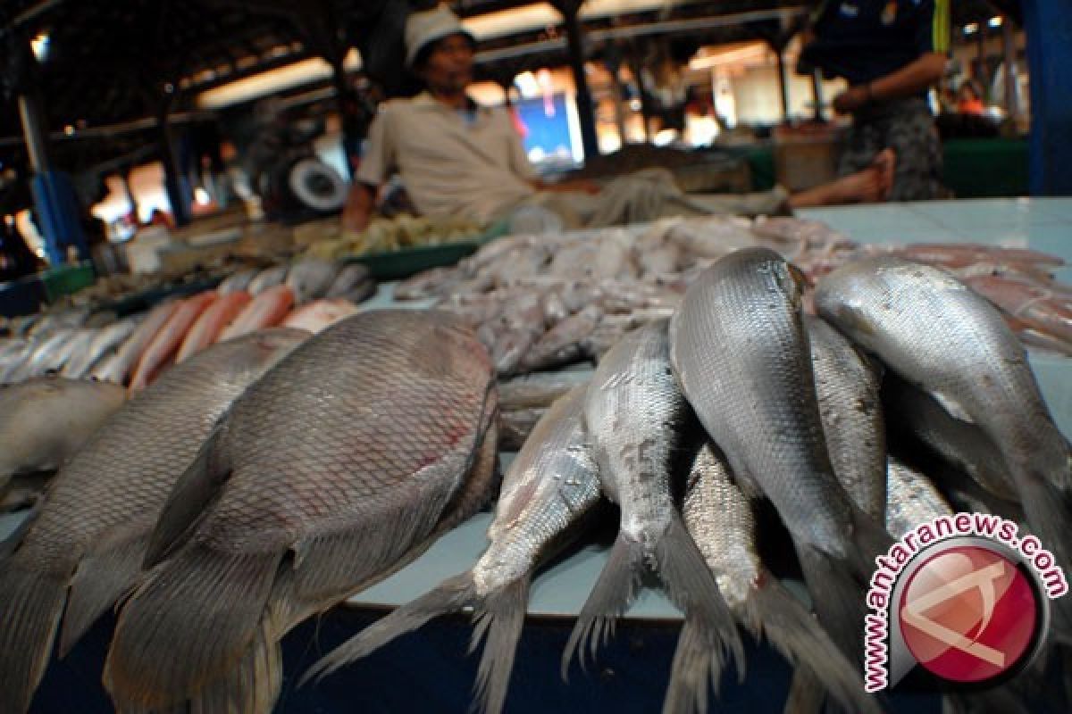 Pasokan ikan di Pangkalpinang berkurang