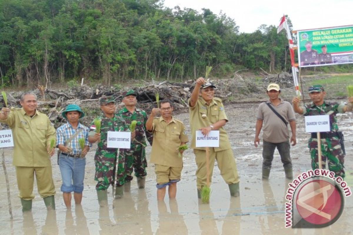 Sintang Target 2.000 Ha Cetak Sawah Baru 2017