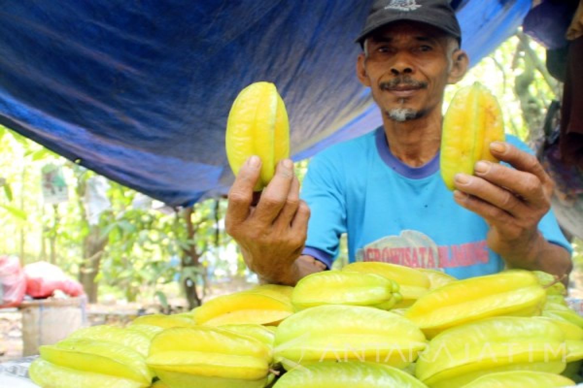 Mbah Nur, Perintis Wisata Agro Belimbing Bojonegoro