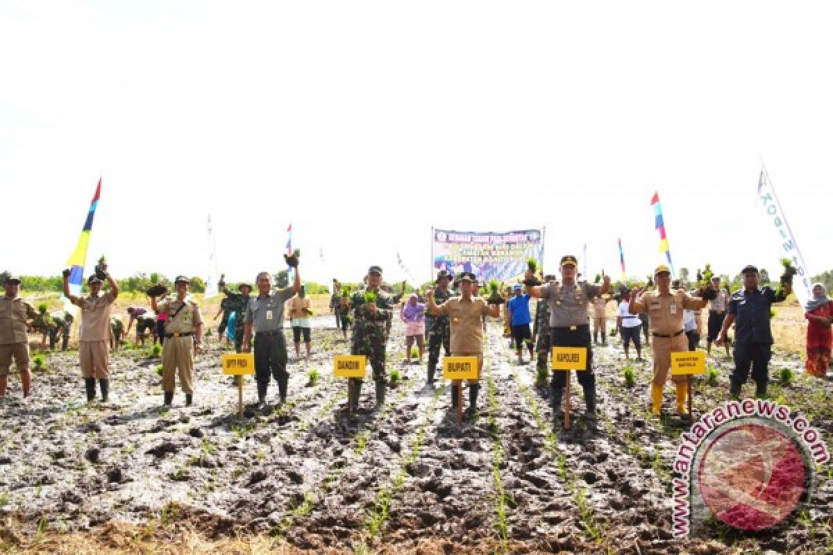 TNI Help Optimizing Agricultural Land