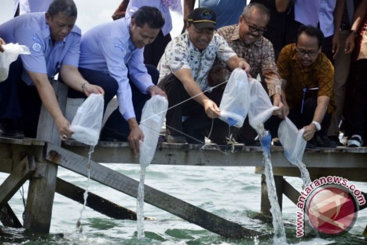 Kebutuhan benih ikan budidaya di Lhokseumawe tinggi