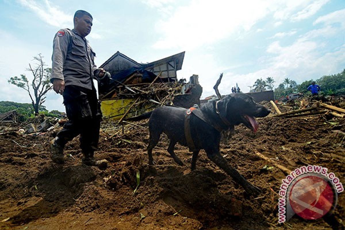 Polisi kerahkan anjing pelacak cari korban banjir besar di Labuhanbatu Utara