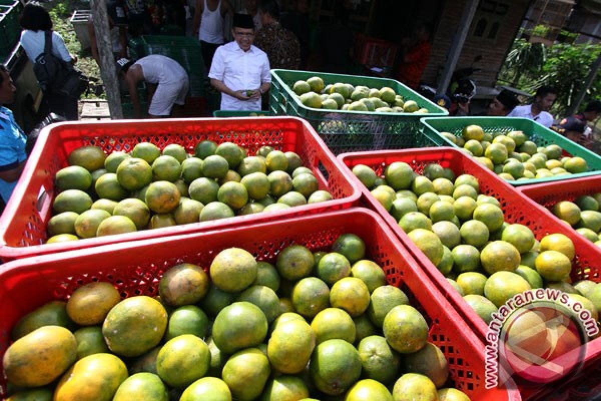 Jeruk Banyuwangi banjiri Pasar Johar Semarang