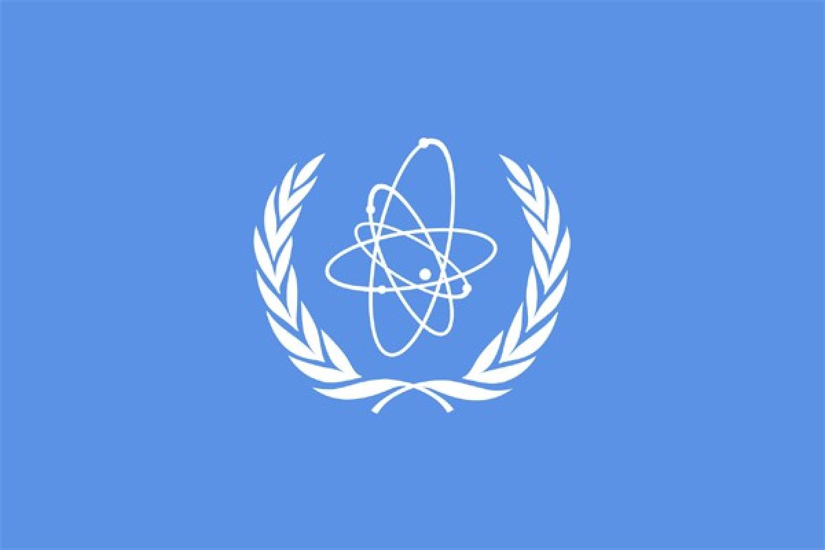 IAEA pangkas proyeksi pertumbuhan tenaga nuklir