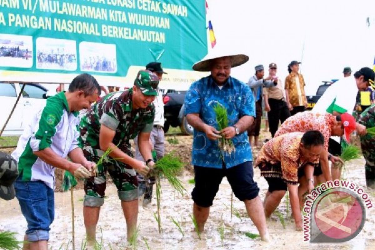 Kutai Kartanegara-Kodim Tanam Padi Serentak