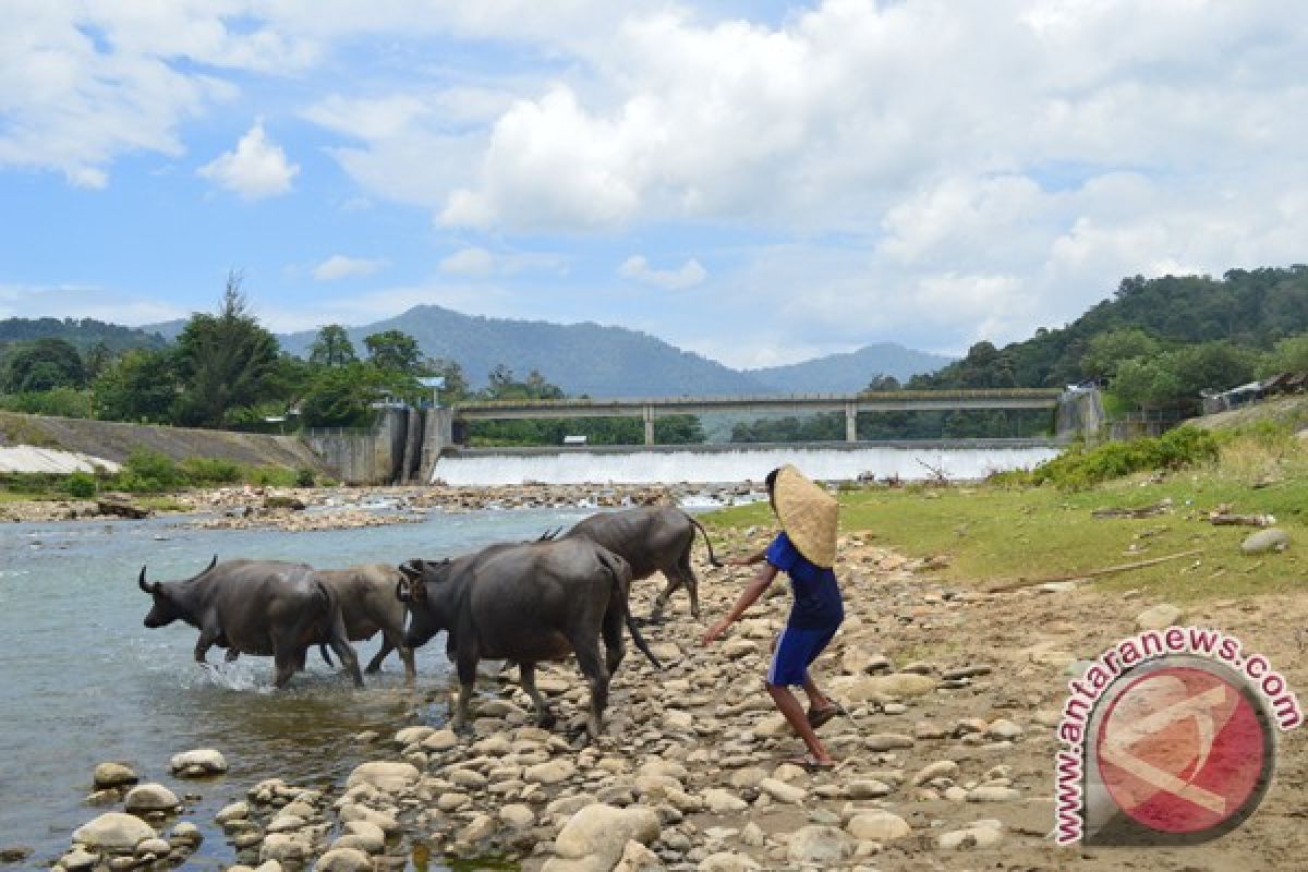 Dewan dorong penuntasan irigasi Lhok Guci Aceh Barat