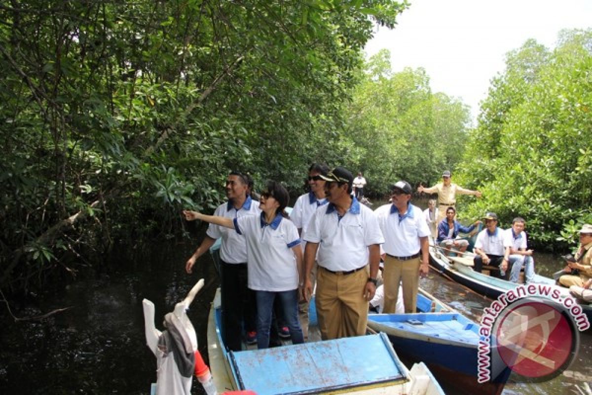 Garuda Indonesia Sumbang 50 Ribu Bibit Mangrove di Belitung