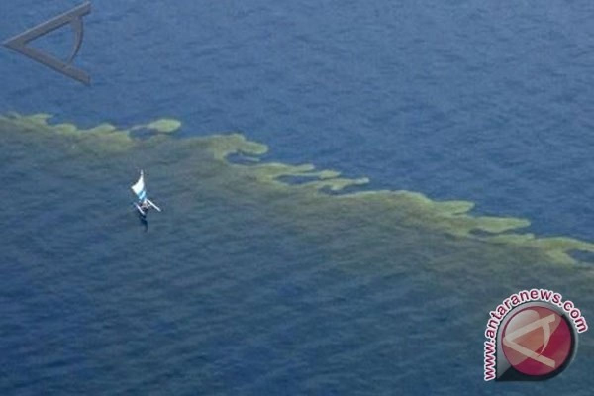 Warga Mauritius sumbangkan rambut untuk serap minyak yang cemari laut