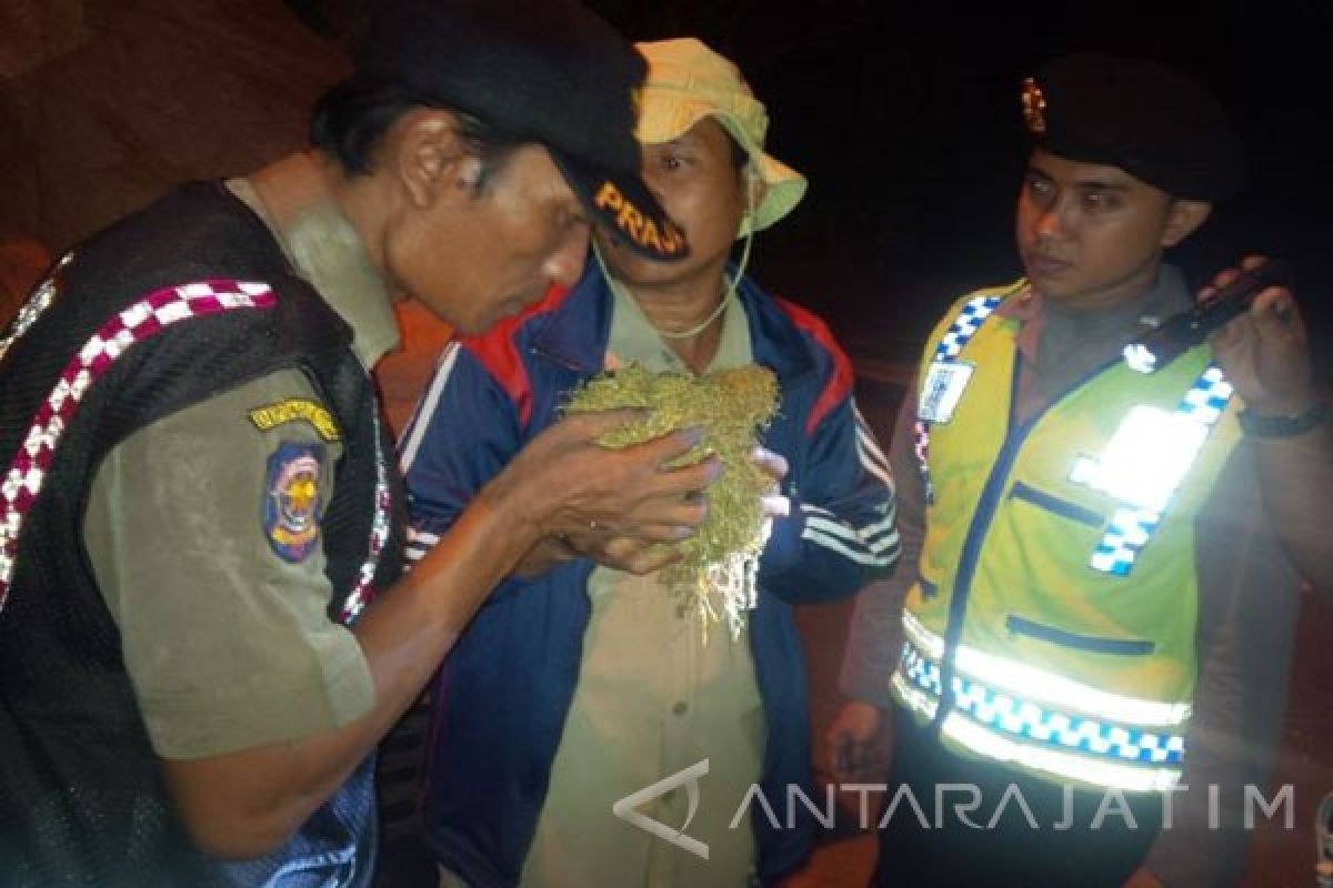 Satpol-PP Pamekasan Sita 932 Kilogram Tembakau Jawa