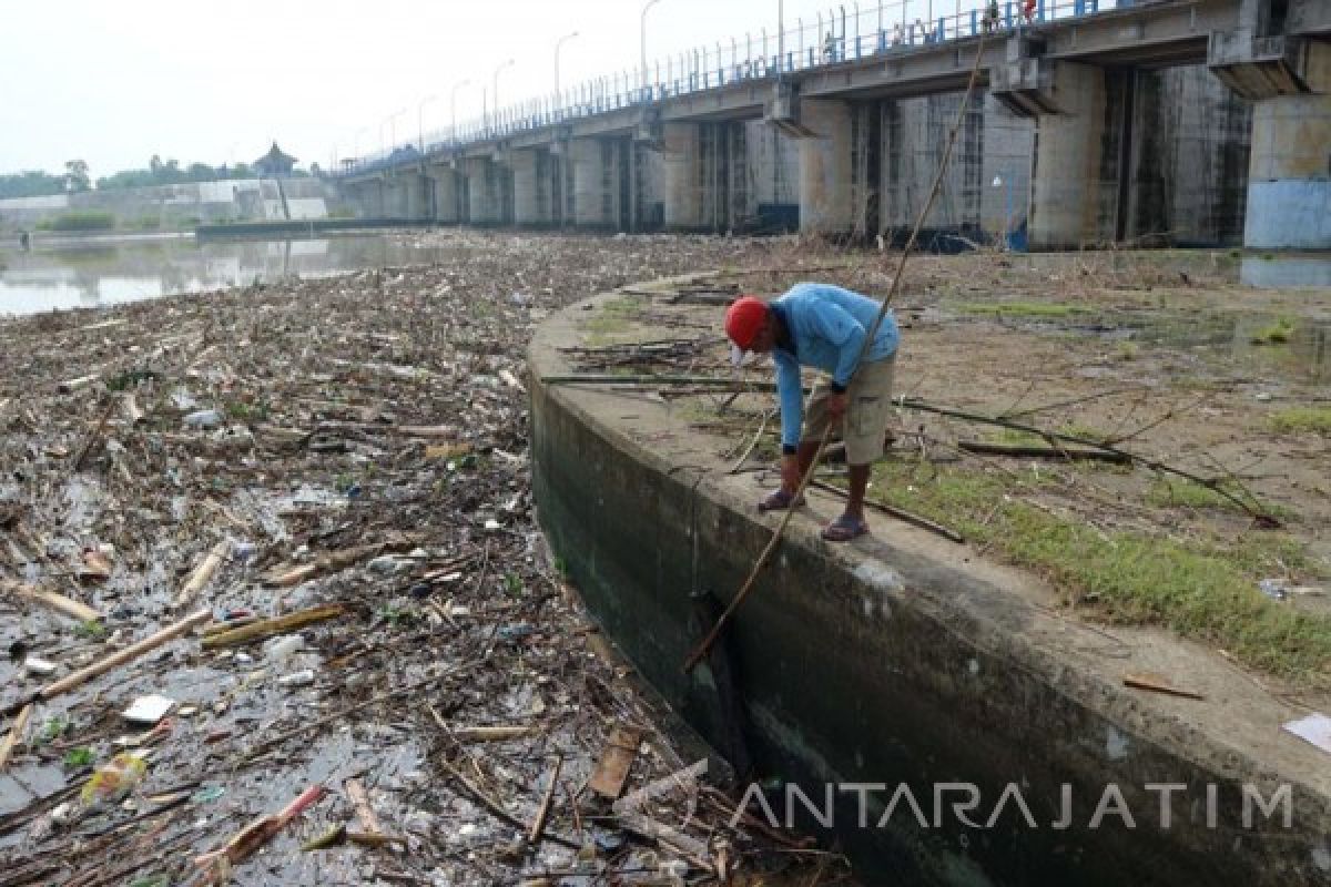 BPBD Bojonegoro Waspadai Naiknya Bengawan Solo