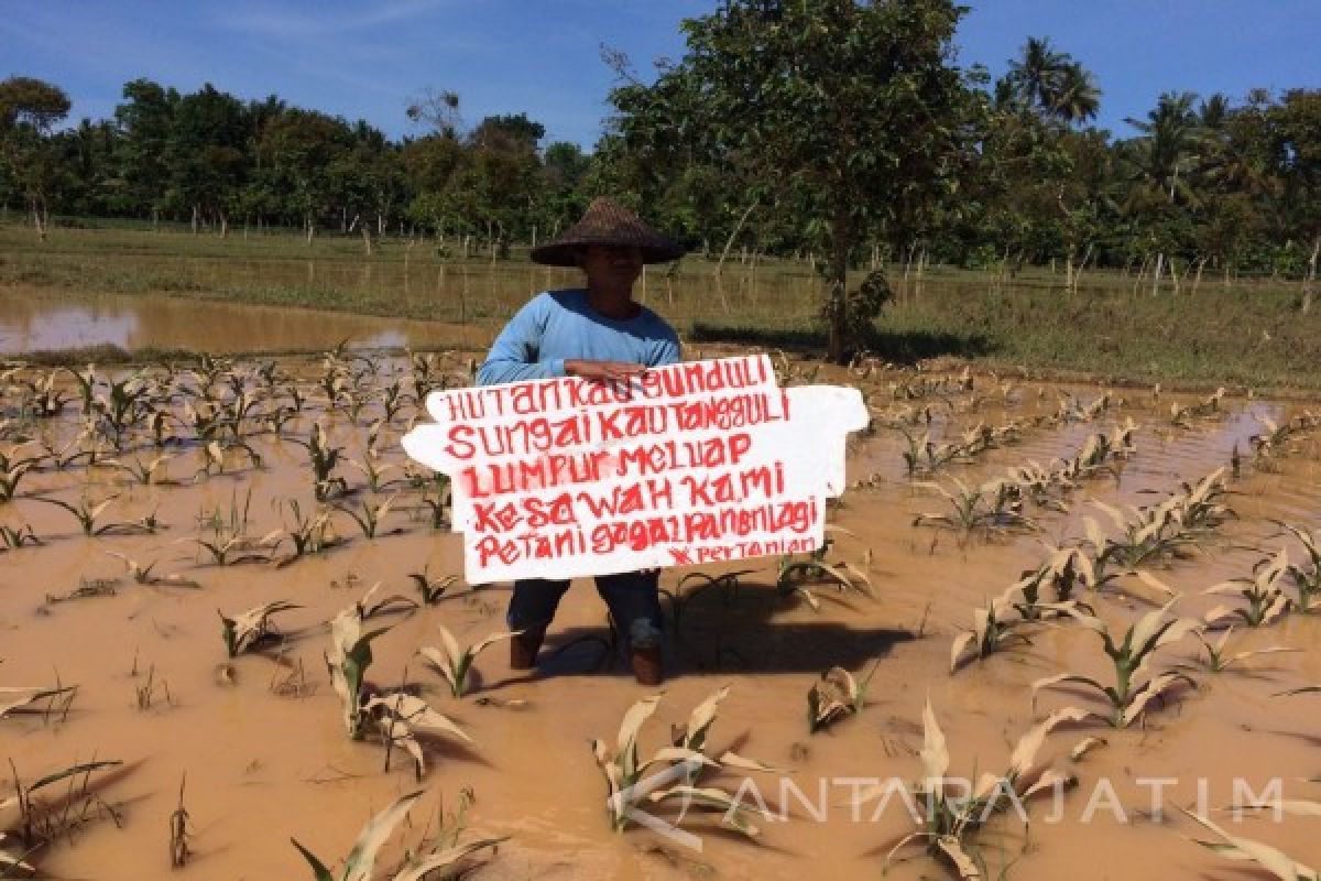 Banjir Lumpur Kembali Genangi Pulau Merah Banyuwangi