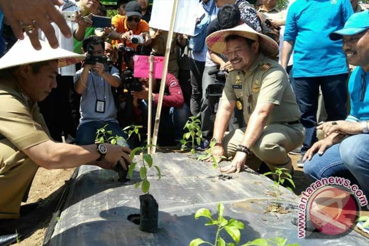 Sulsel canangkan gerakan tanam serentak 1.000 titik 