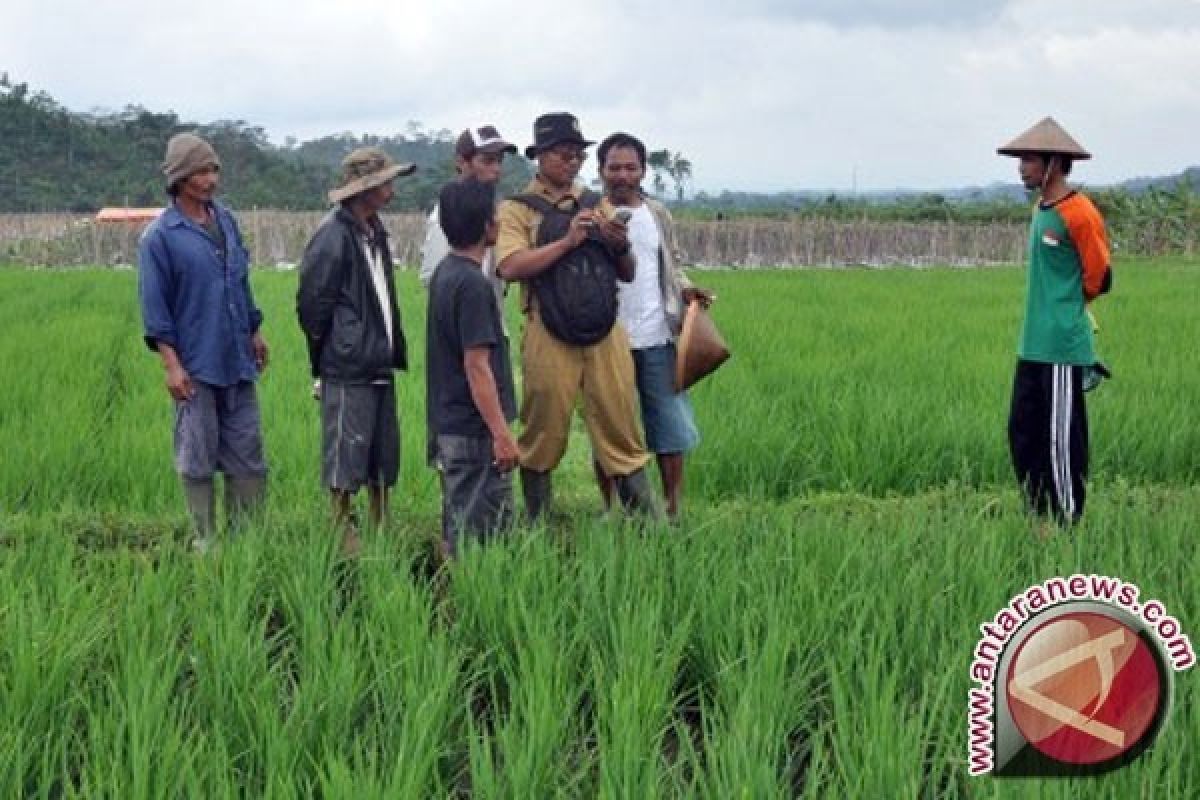 Kementan Dorong Penyuluh Swadaya Tiap Desa