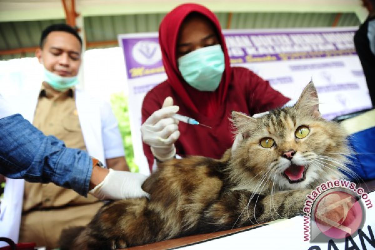 815 laporan kasus gigitan hewan pembawa rabies di Kalbar