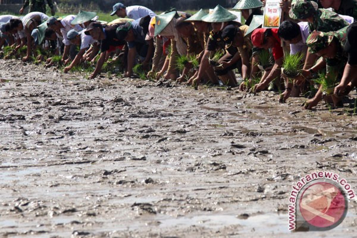 Dorong Kualitas Hidup Masyarakat, Wellbeing Institute Gelar Riset Publik Digital