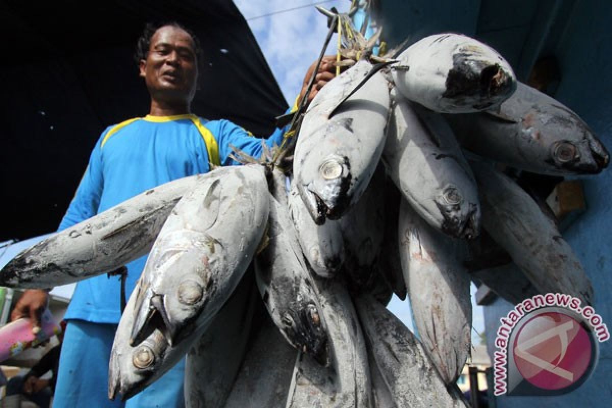 Banyuwangi gelar Festival Pasar Ikan