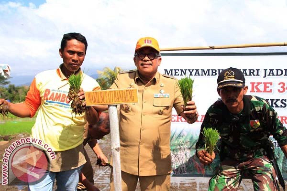 Bantaeng canangkan gerakan tanam serentak di Batukaraeng