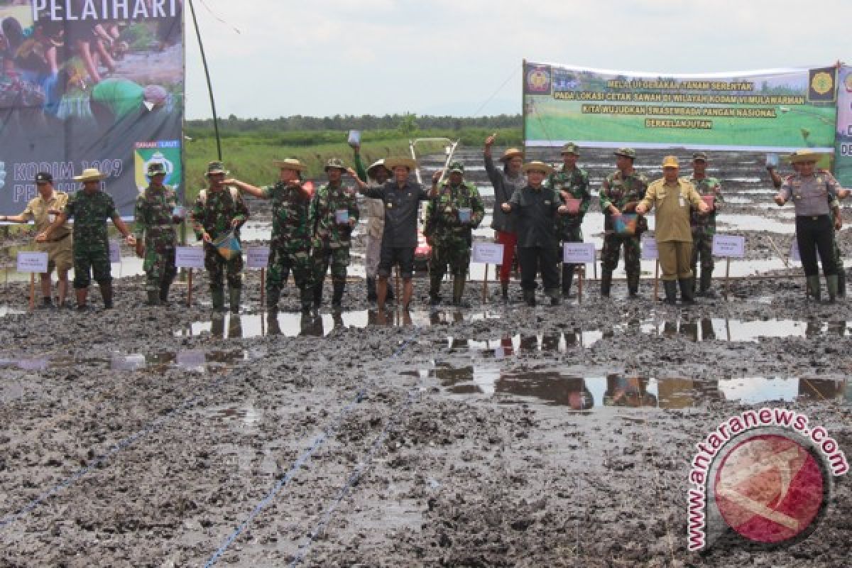 Tabalong Target Cetak Sawah Baru 472,5 Hektare 