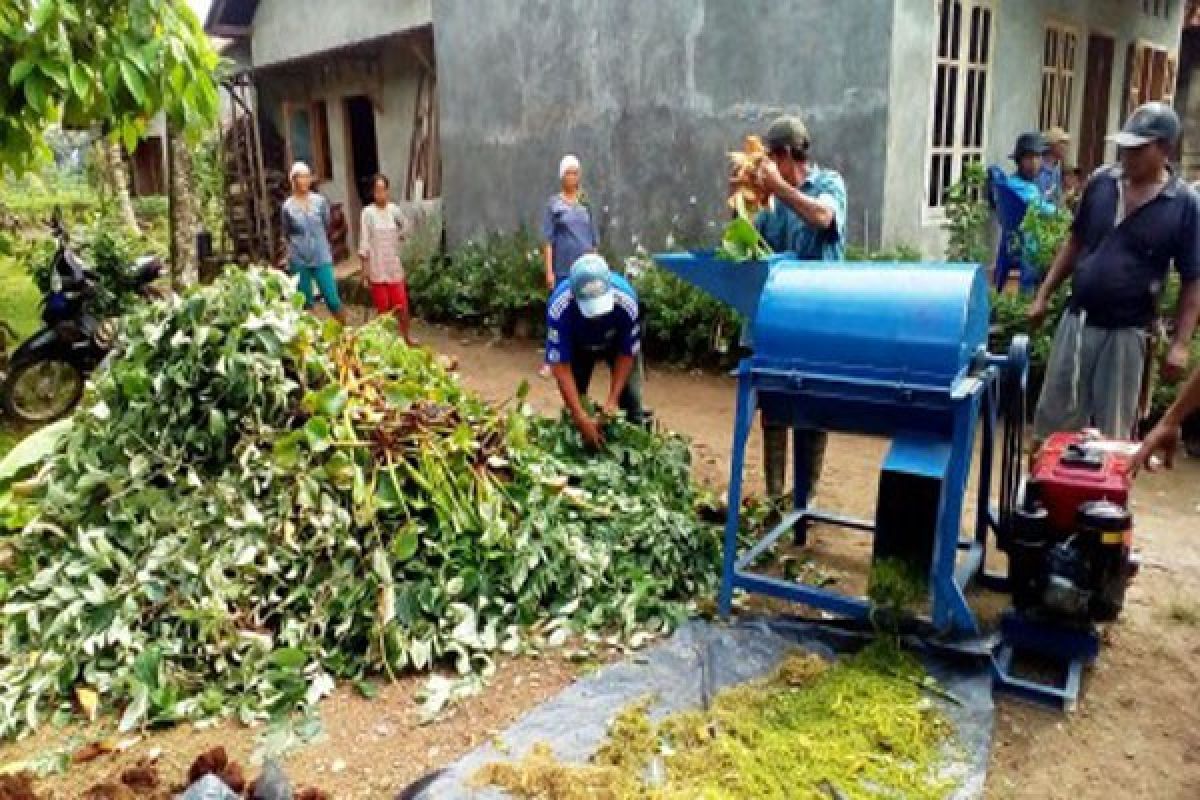 Pengembangan Hutan Rakyat Semaka Penyangga TNBBS