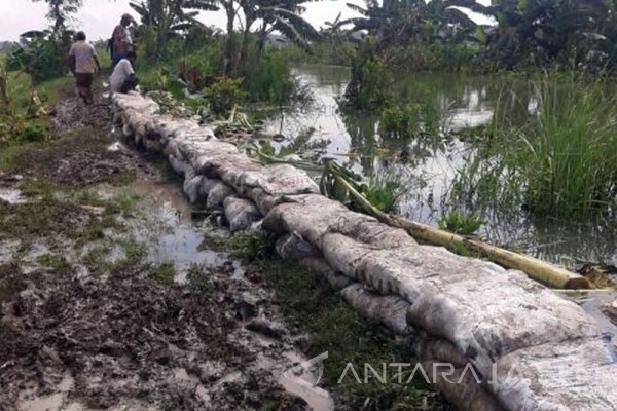 BPBD Bojonegoro Perbaiki Tanggul Kali Inggas