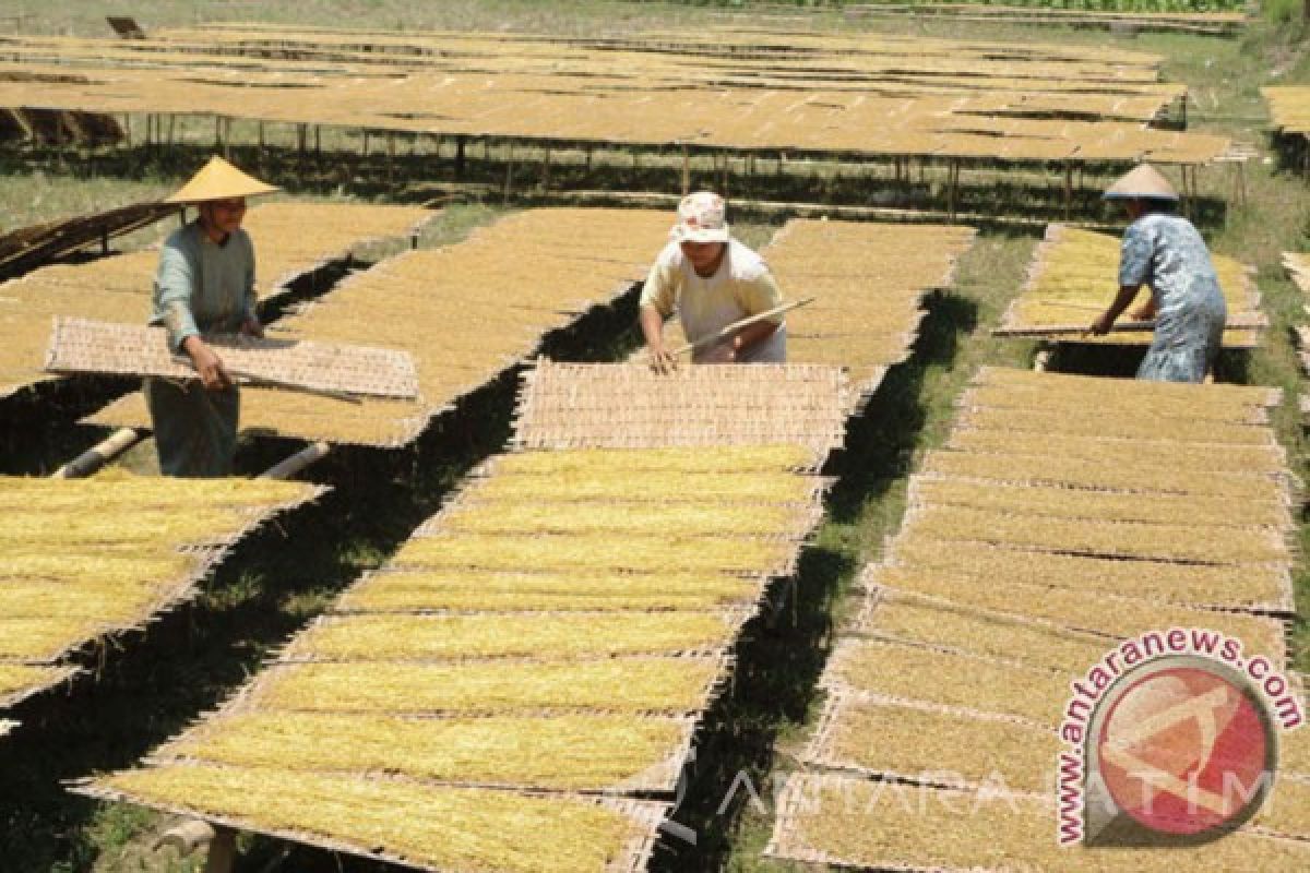 Dishutbun Bojonegoro Imbau Pabrikan Bermitra dengan Petani