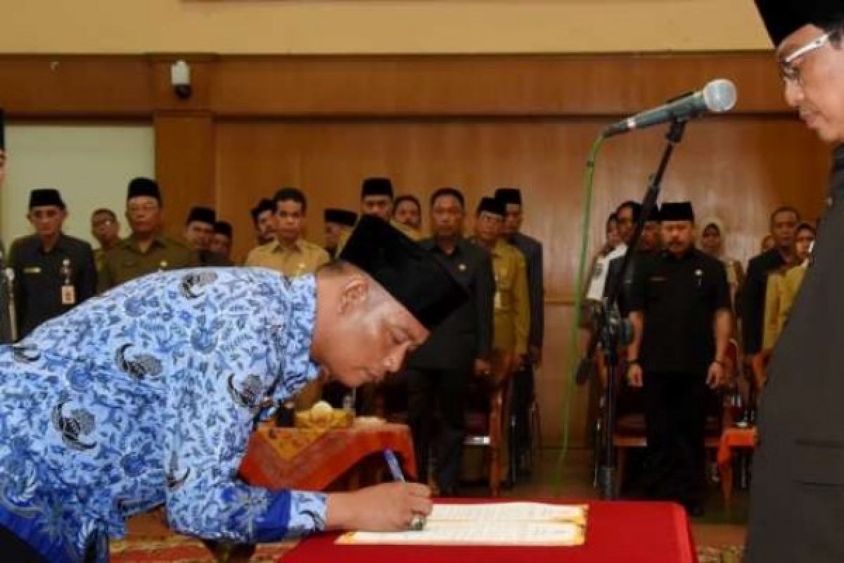 131 Honorer Kategori II Inhil Jadi PNS