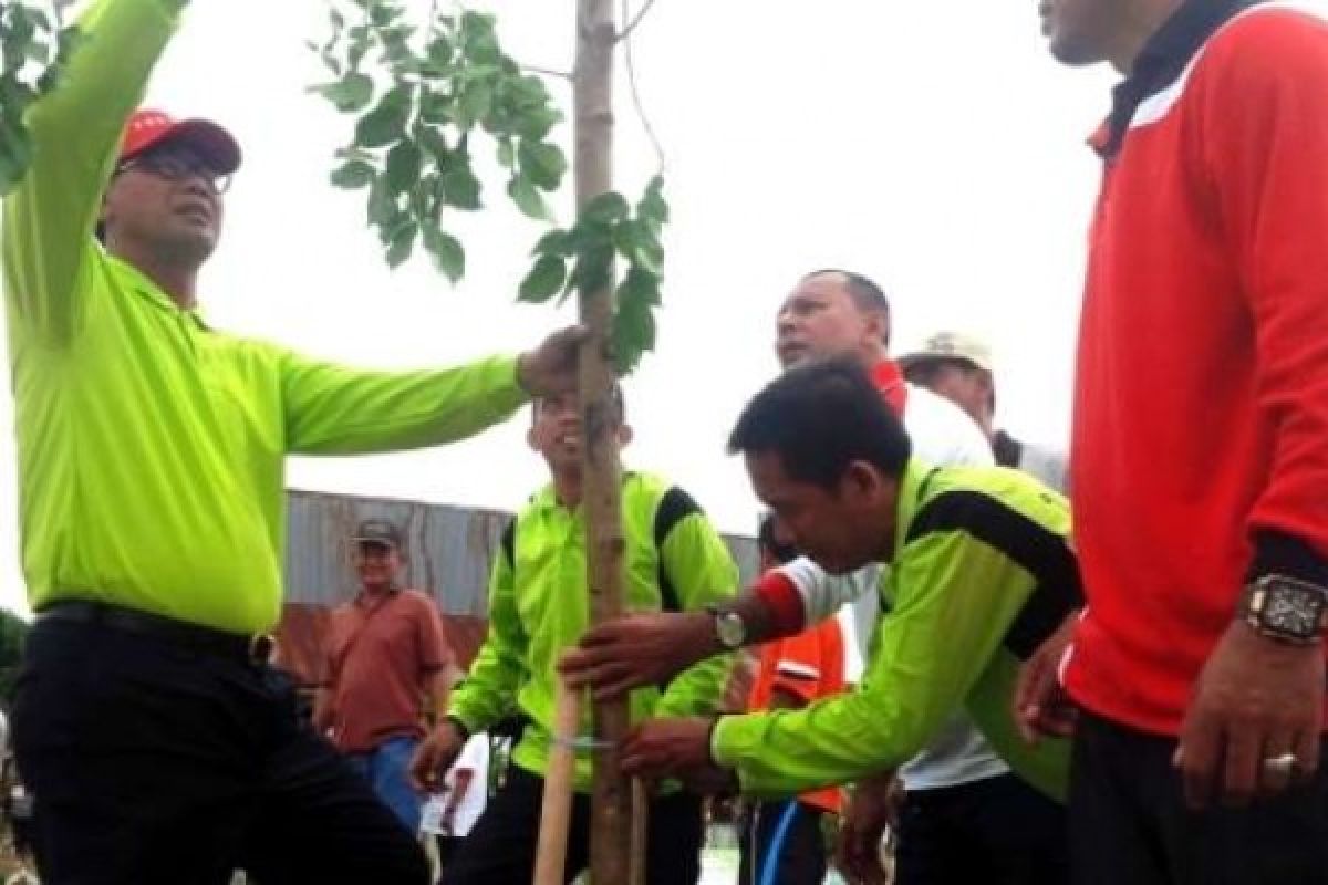 HUT Rohil Ke-17, Pemkab Tanam Ratusan Pohon Di TPU