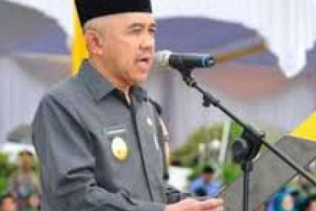 Gubernur Riau Ajak Masyarakat Bersama Capai SDG