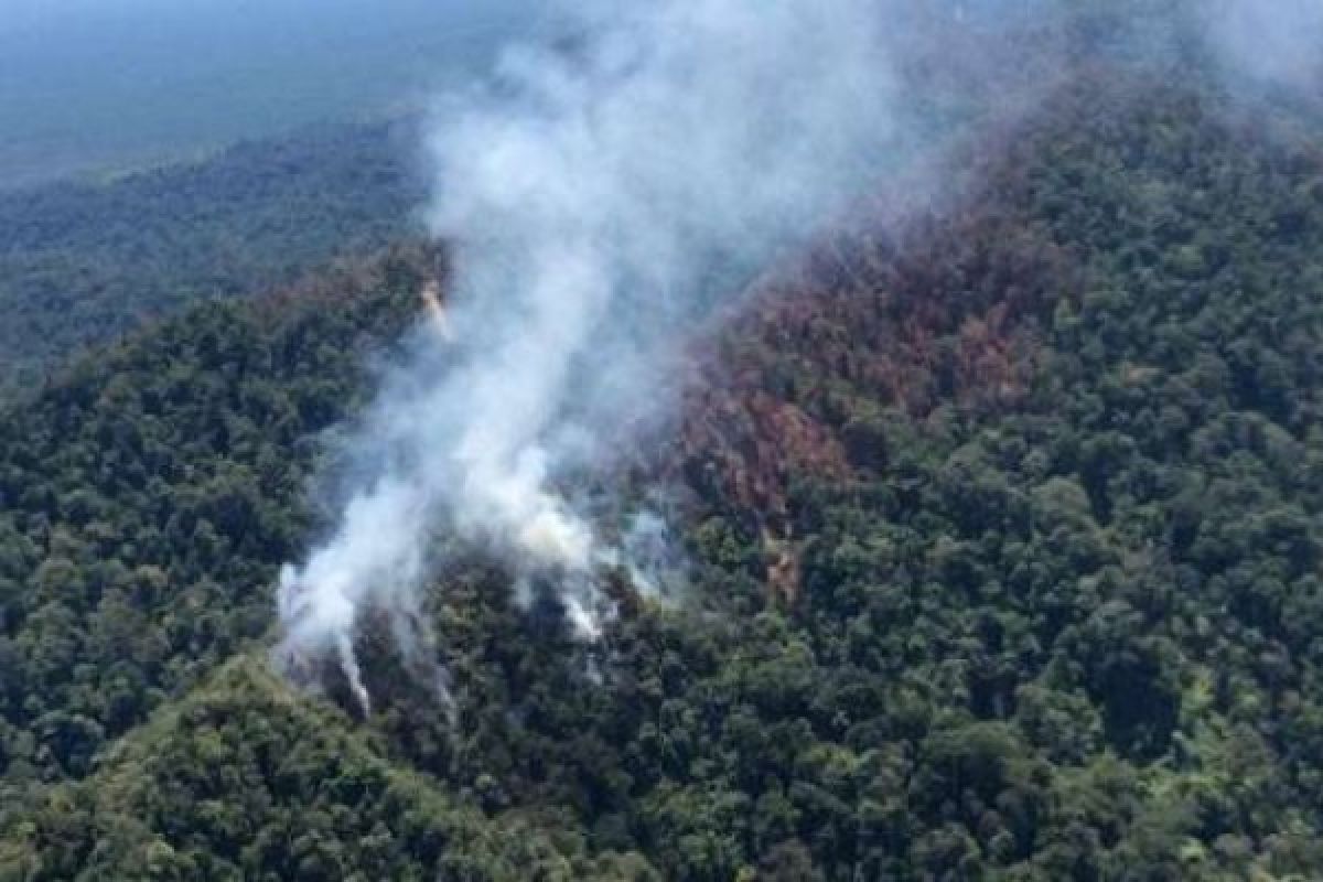 Bahaya, Kebakaran Hutan Lindung Bukit Suligi Semakin Meluas!