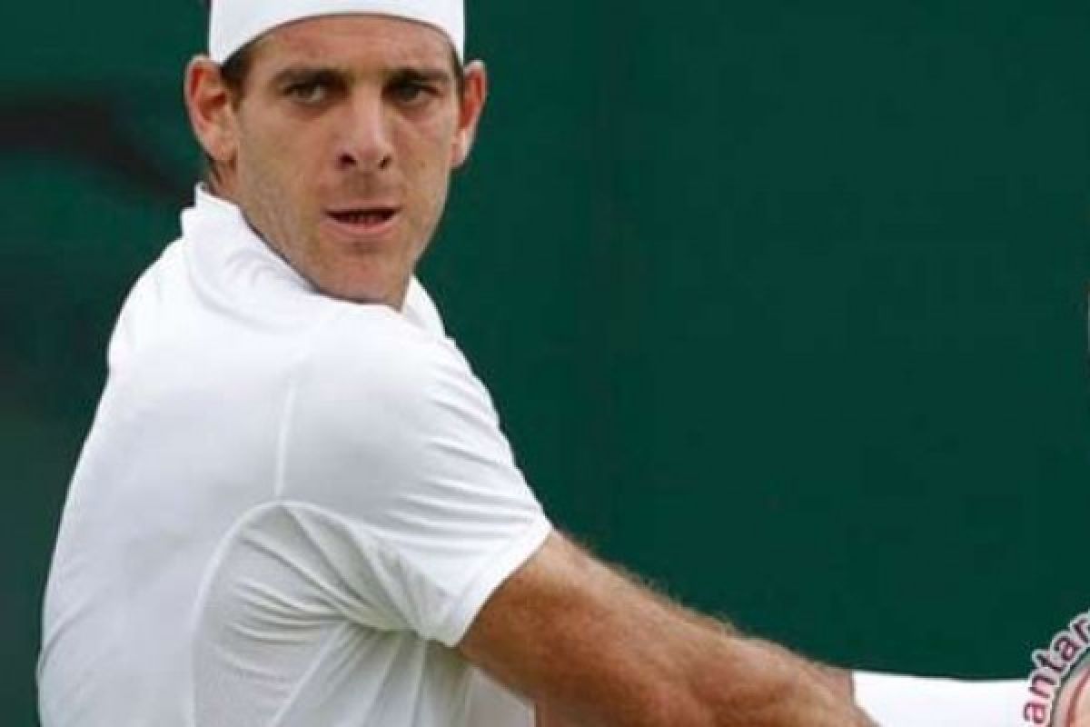 Juan Martin del Potro Melenggang Ke Babak Selanjutnya Piala Davis