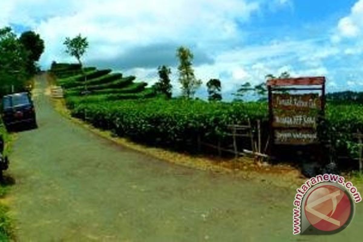 Kulon Progo bangun perkantoran di bekas pasar hewan