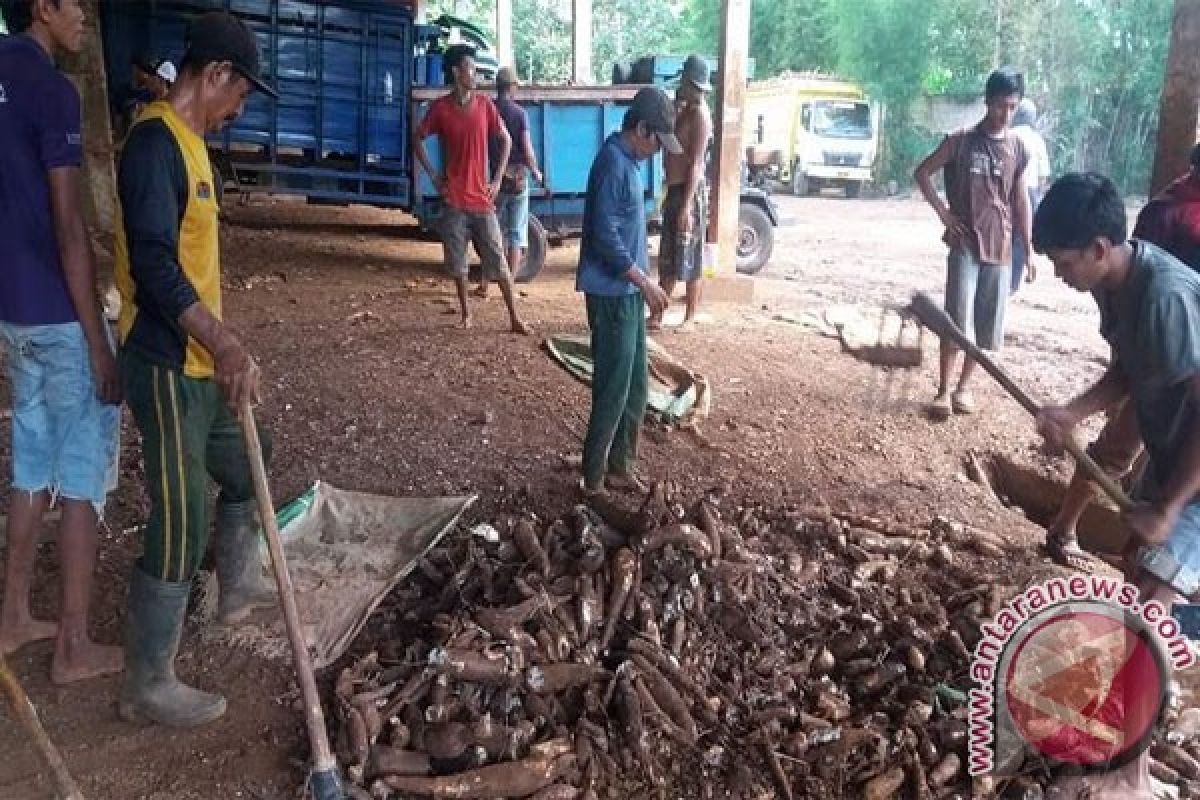 Lampung minta masyarakat tingkatkan  konsumsi pangan lokal