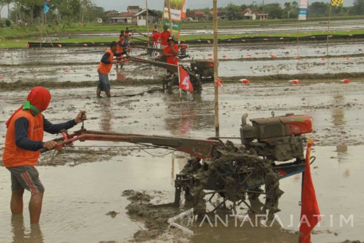 Tulungagung Gelar Lomba Balap Traktor Bajak Sawah