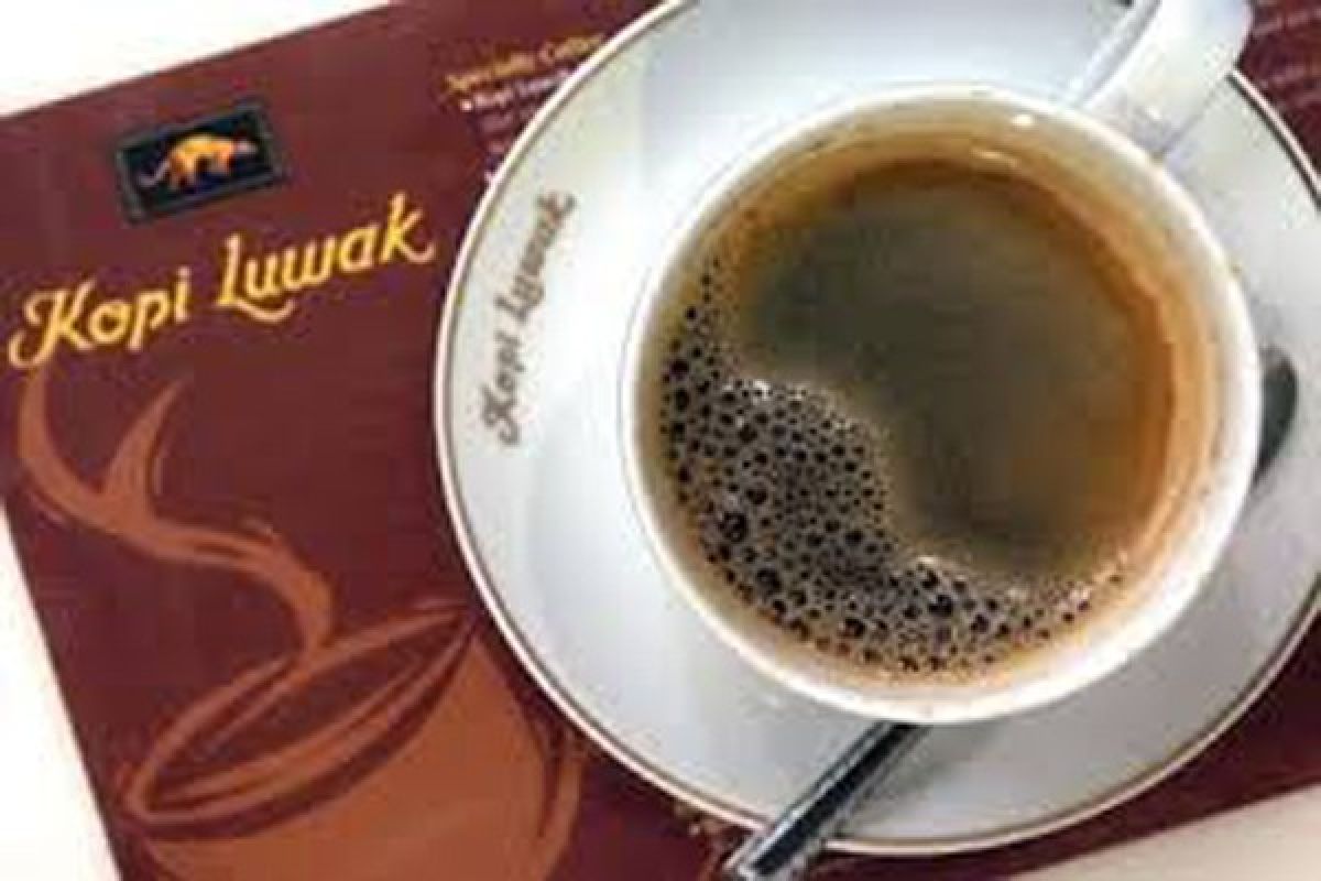 Cara menikmati kopi luwak Lampung 